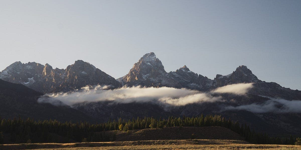 A Cut Switchback is the Wildest Outdoor Story of the Year