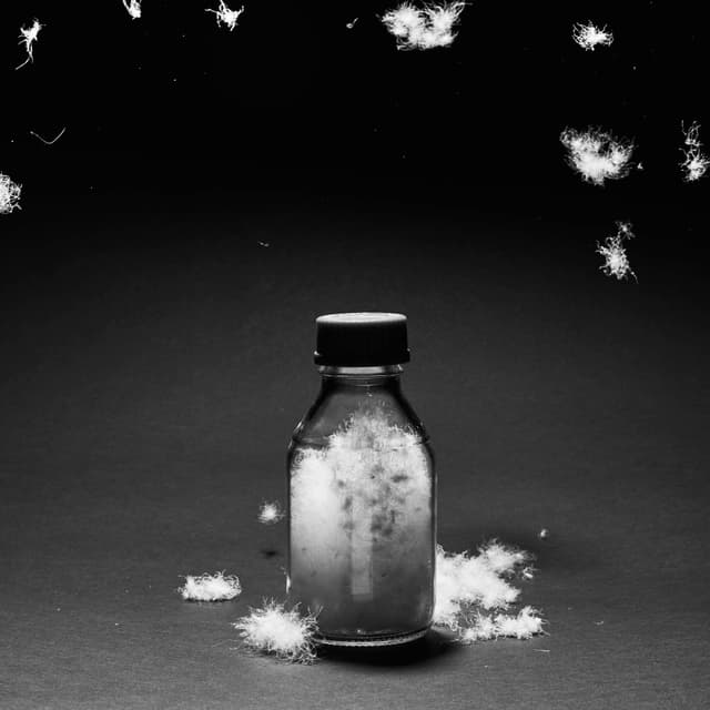 R&D Helium Loop Anorak 3