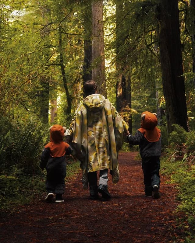 The Endor Collection 5